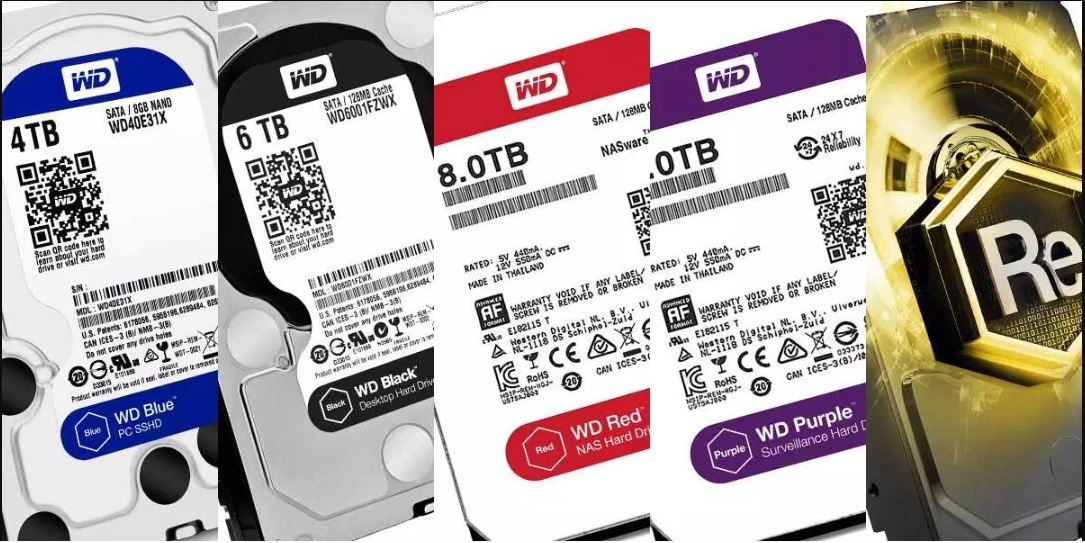 Ổ cứng HDD WD là gì? Khám phá các dòng ổ cứng Western Digital phổ biến